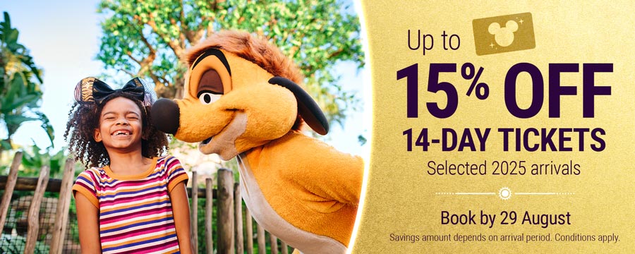 15% off 14 day tickets in 2025 campaign