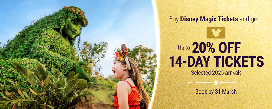 20% off 14 day tickets in 2025 campaign