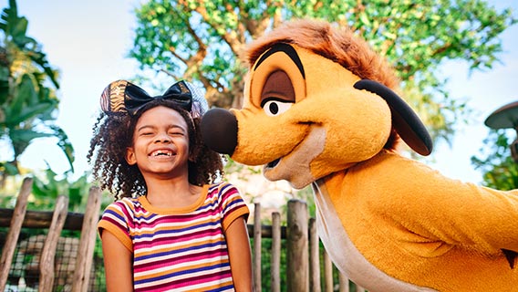 15% Off 14-Day Tickets in Summer 2025! - Save over €80 per person when you book by 29th August 2025!