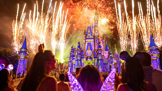 Fireworks Cinderella Castle at Magic Kingdom park