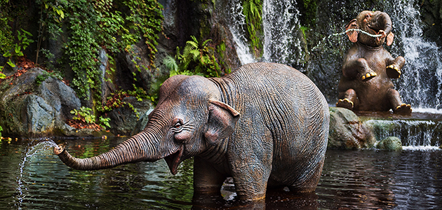 Elephants playing in the water at Jungle Cruise at Magic Kingdom Park.