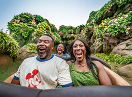 Tiana's Bayou Adventure
