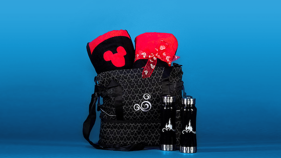 Mickey's Poolside Magic Basket