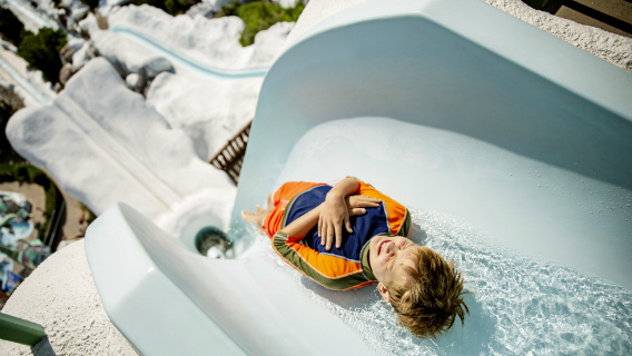 Dive into Fun at Disney's Blizzard Beach